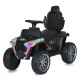 Каталка-толокар Квадроцикл Bambi (M 5732EBLR-12)