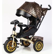 Дитячий триколісний Велосипед BestTrike "Perfetto" (8066/819-40) поворотне сидіння