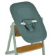 Дитячий Стільчик для годування EL CAMINO GROWEE 4в1 (ME 1222 Sage Green)