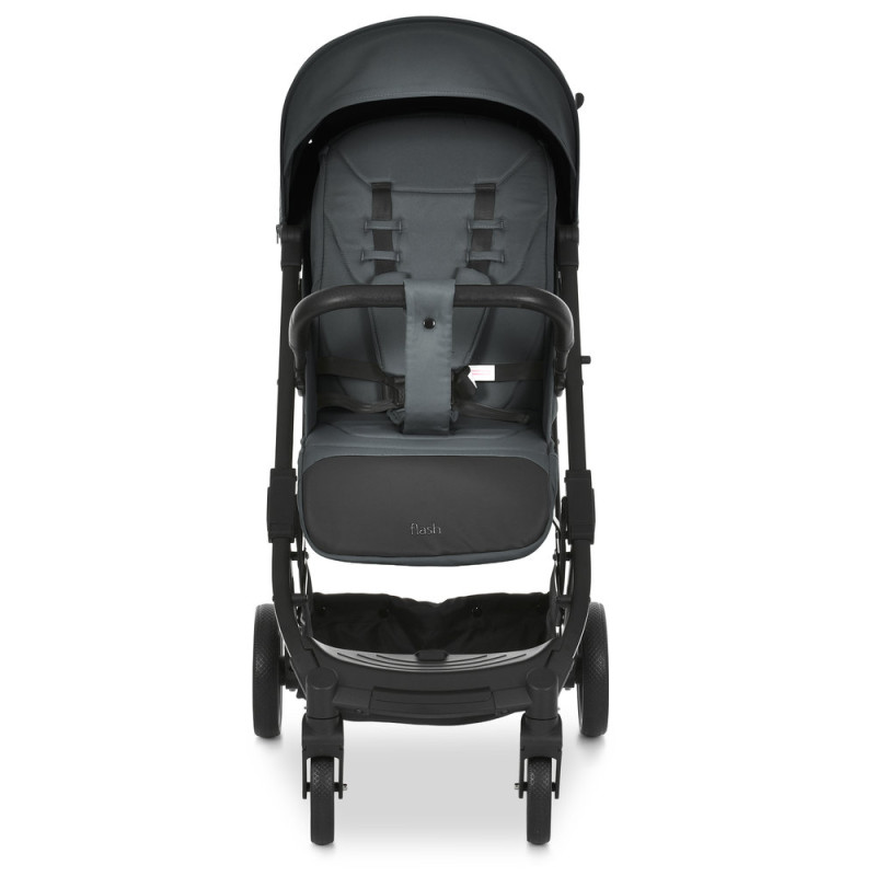 Дитяча коляска прогулянкова BAMBI FLASH (M 5727-1 Magnet)