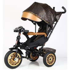 Дитячий триколісний Велосипед BestTrike "Perfetto" (8066 / 515-09) поворотне сидіння