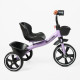 Дитячий триколісний велосипед Best Trike (BS-28-474) колеса EVA, сталева рама