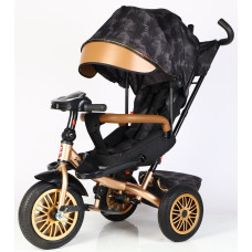 Дитячий триколісний Велосипед BestTrike "Perfetto" (8066/380-29) поворотне сидіння