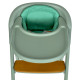 Дитячий Стільчик для годування EL CAMINO GROWEE 4в1 (ME 1222 Sage Green)